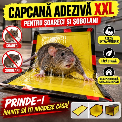 Capcană Adezivă pentru Șoareci și Șobolani – Prinde șoarecii și șobolanii înainte să-ți transforme casa în cuibul lor!